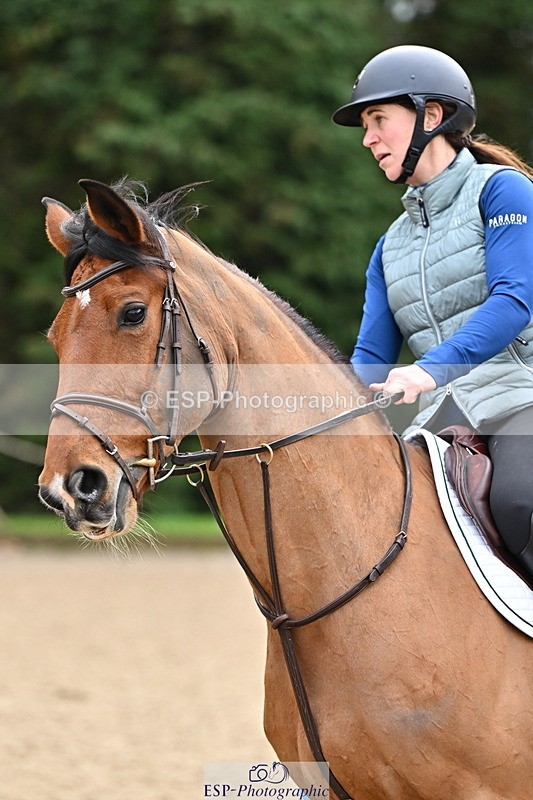 250201A-112038-00383 - Cls 02 Local Horse 100cm