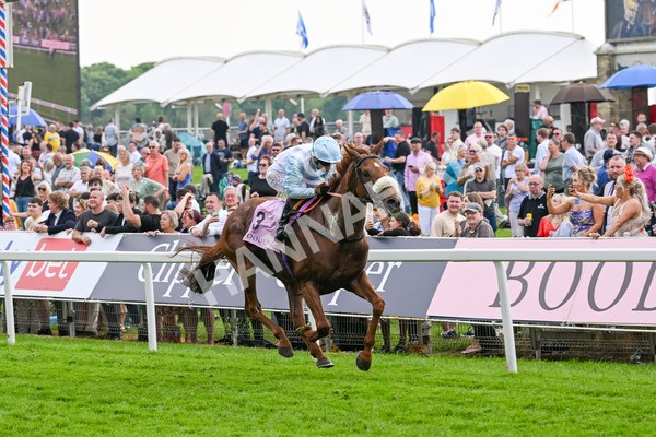 170524-Race 4-Giavellotto-8093 - Race 4 3.45pm Boodles Yorkshire Cup Stakes