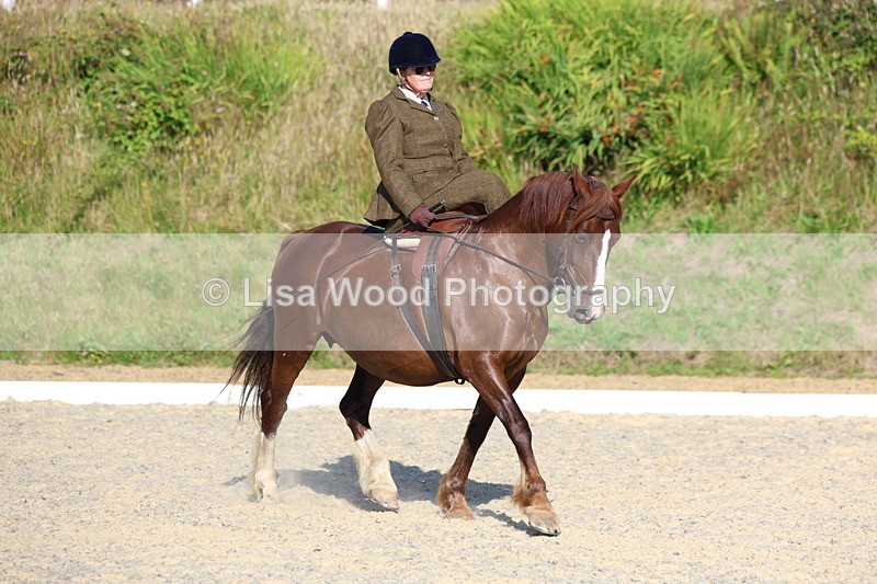 3E7A3477 - Class 2: Intro 1 2024 Section B