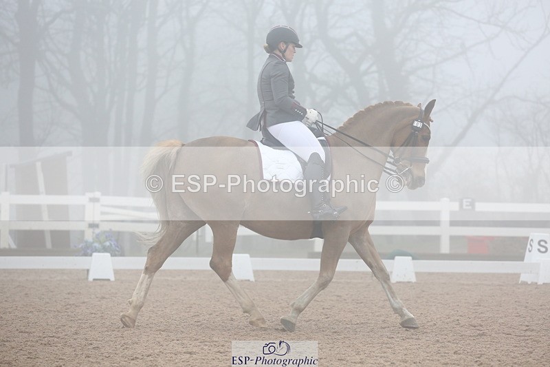 240217A-130058-03012 - 103-Ruth.Saunders-Dizzy.Rascal.VII