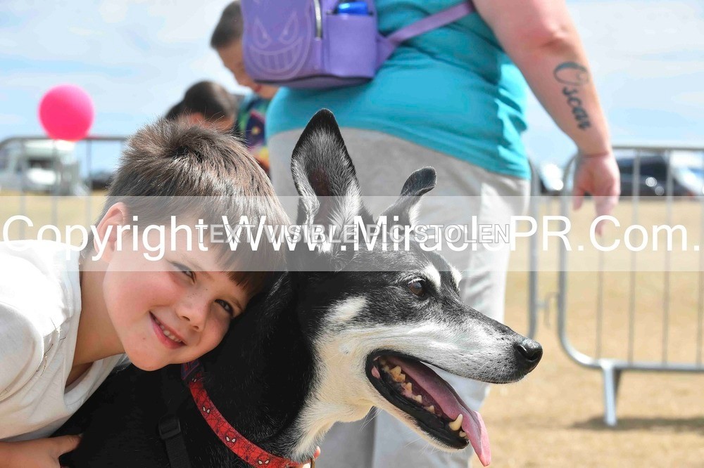 SH4_0108 - Dog show.
