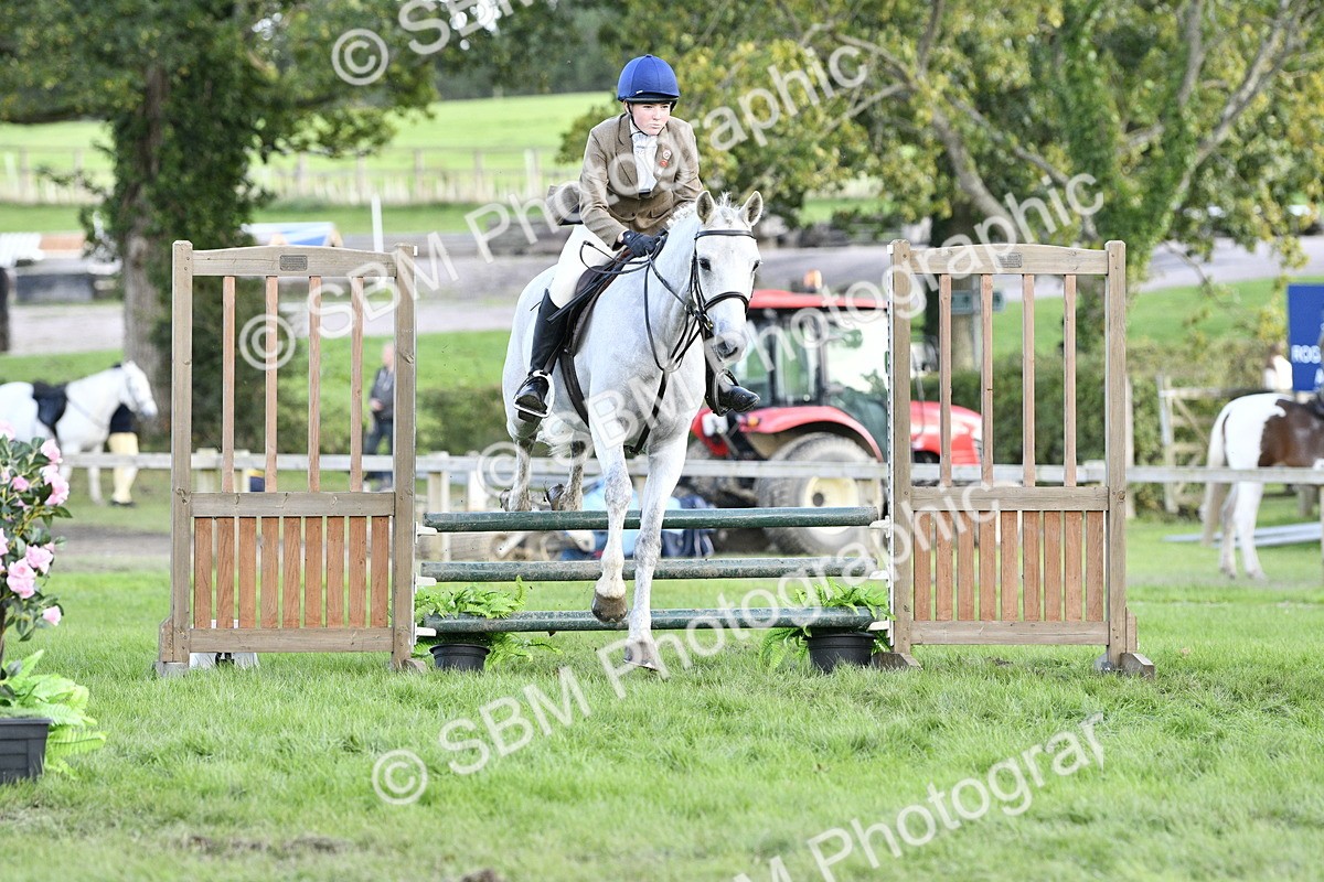 SBM_52143 - S35 - Working Hunter & Working Show Horse
