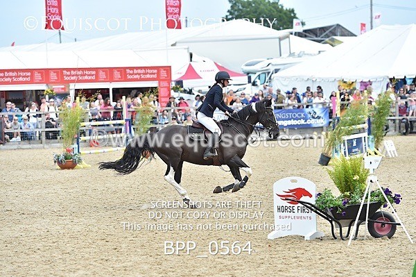 BPP_0564 - RHS 2019 Selection - *Just some random spectator shots so Lucky Dip if you are there!