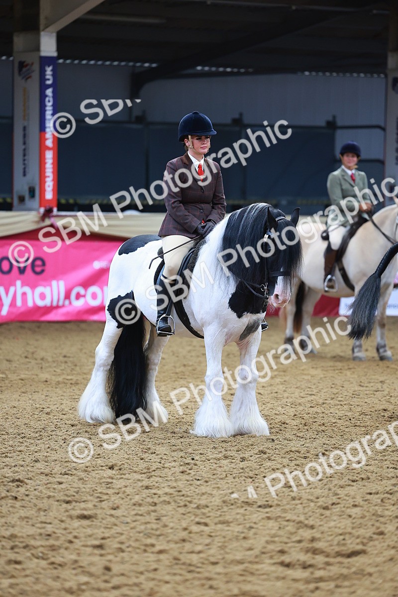 SBM_09851 - Class 102 - HOYS Veteran Qualifier - Ridden Veteran