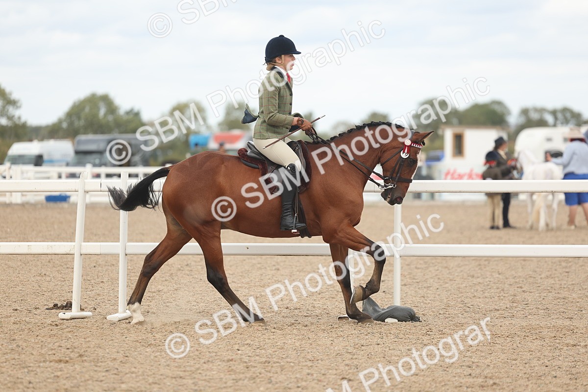 SBM_18135 - Class 315 - Best Horse-Rider Combination