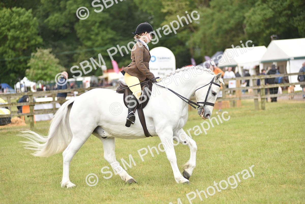 SBM_12119 - Class 110-112 - LIHS BSPS Performance Pones