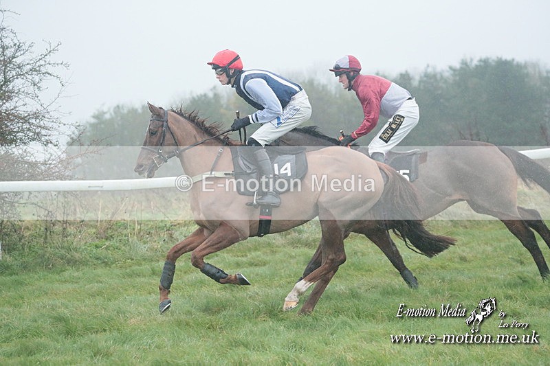 PtP 101223 427 - New Forest Hounds PtP Larkhill 10/12/23
