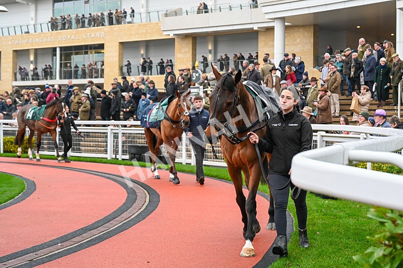 131224-Race 3-Joyeux Machin-9401 - Race 3