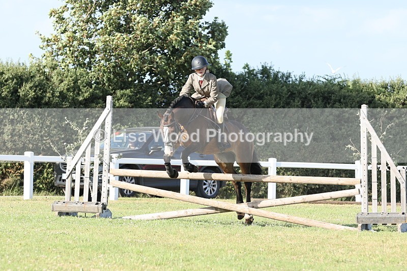 JPP_3208 - Class 21: Working Hunter 80cm