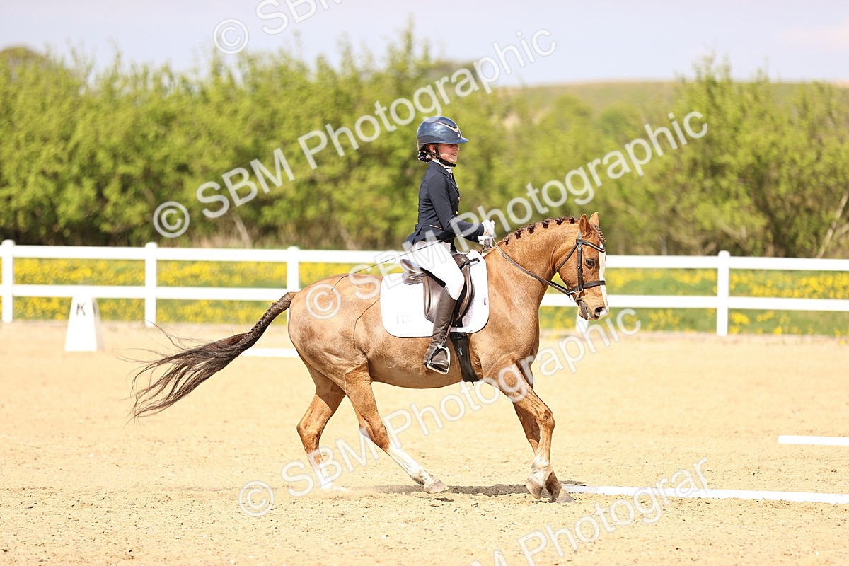 SBM_008466 - Class 8-10-11 - N3-E1-PYO