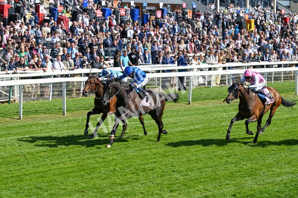 160525-Race 4-Rebels Romance-6704 - Race 4 3.45pm Boodles Yorkshire Cup Stakes