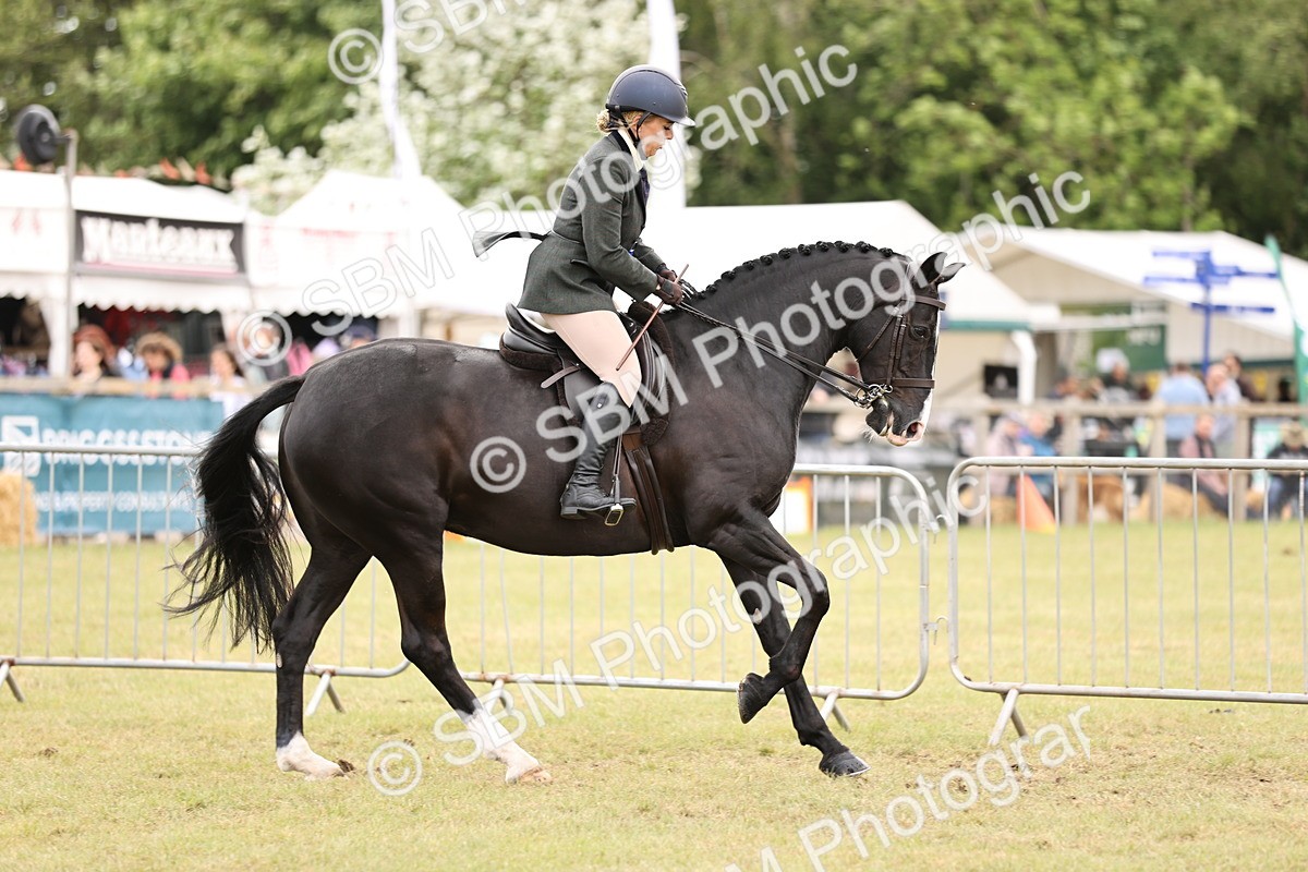 SBM_14637 - Class 88-89 - LIHS BSHA Rising Star of Ridden Hunter Type