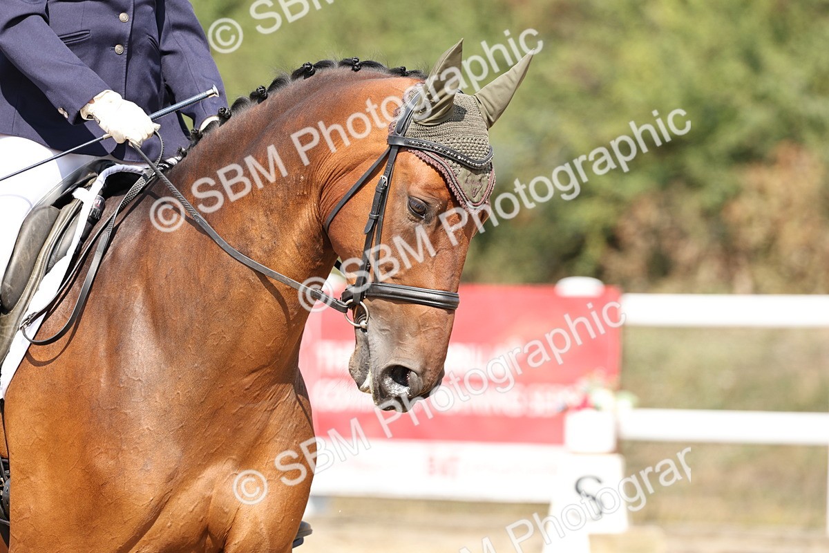 SBM_018577 - Class 16 - Novice 5 - 12.08-13.11