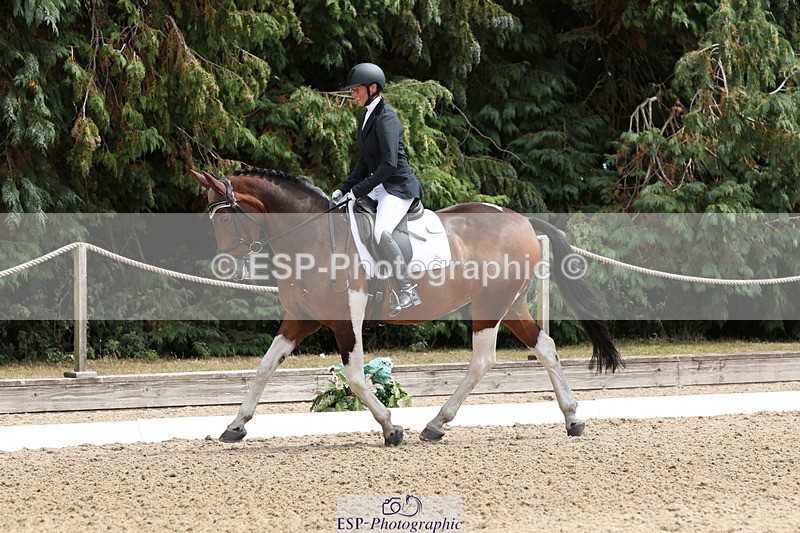 250809A-141703-03948 - 122-Lorraine.MorrisLissyegan.coloured.lady