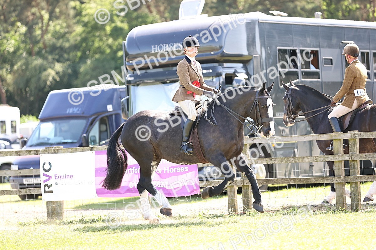 SBM_18094 - Class 81-83 - TSR Ridden Amateur of the Year - Horses