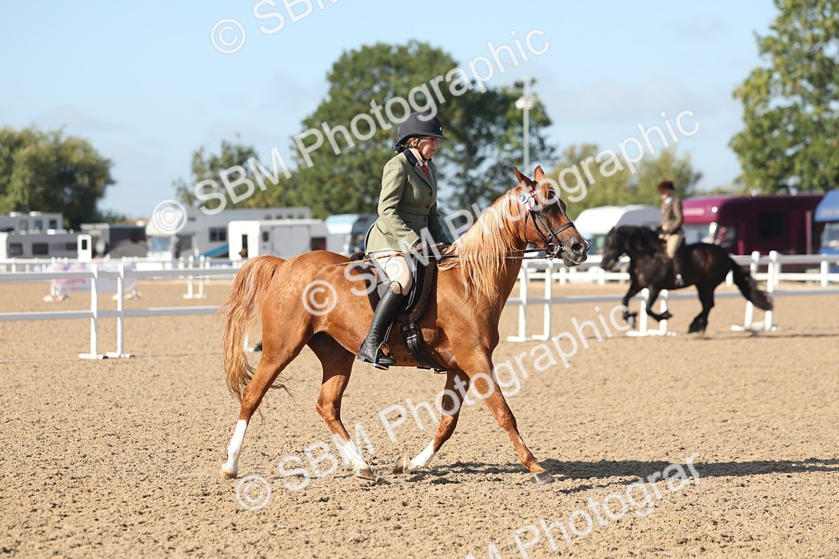 SBM_22310 - Class 803 - Ridden Combination 65+