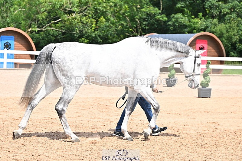 240718A-105258-01382 - Trot Up 12pm to 1pm