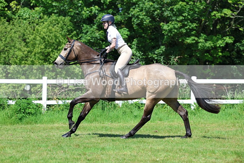 3E7A6947 - Class 30: Novice Working Hunter