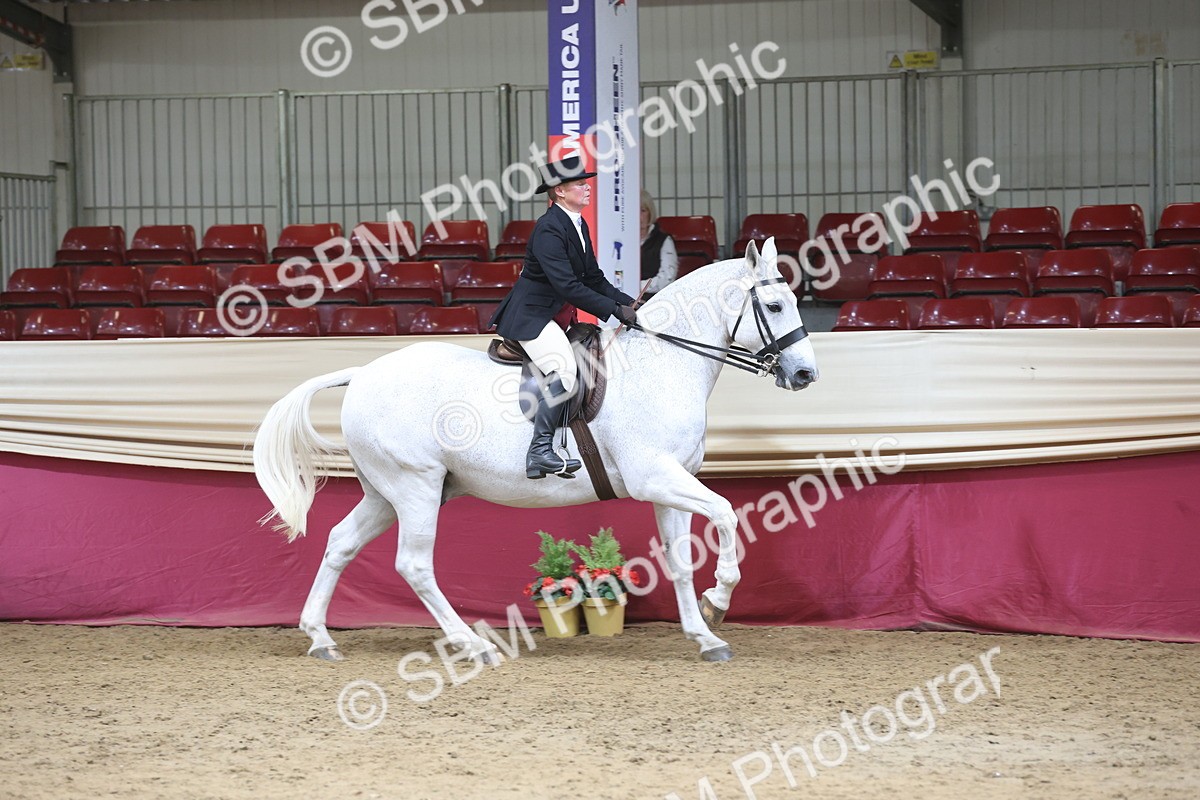 SBM_23725 - class 906 - Supreme Final - Ridden Pre Vet