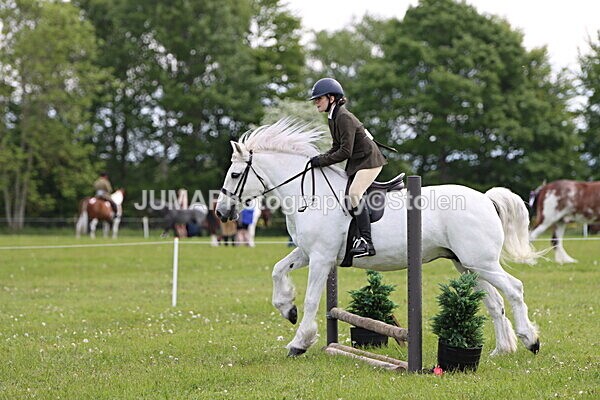 IMG_2501 - Working Hunter