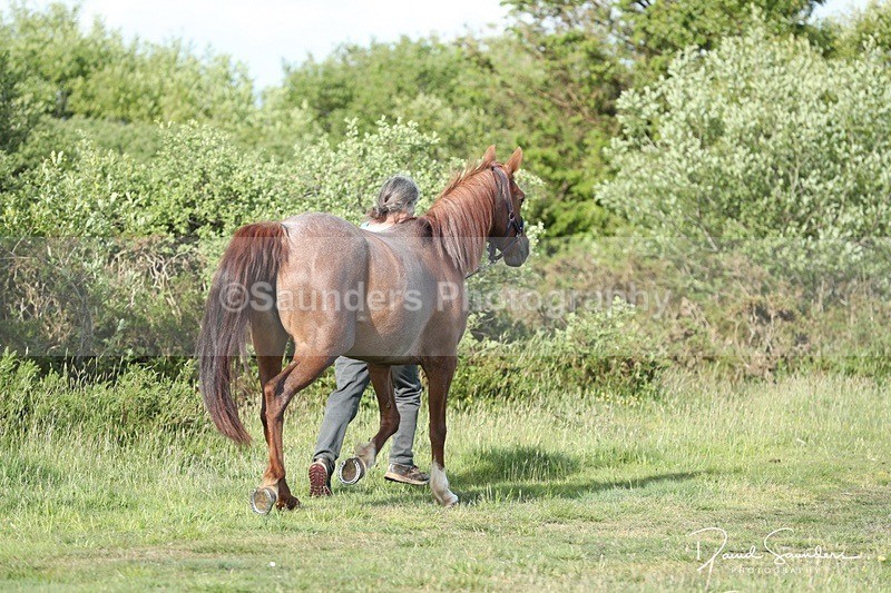 SPXX0106 - Friday vetting