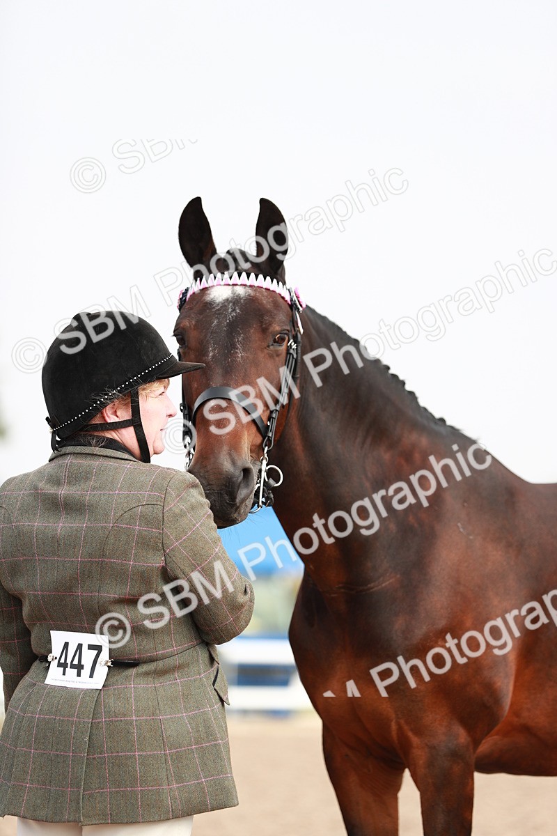 SBM_09546 - Class 201 Best Turned Out IH