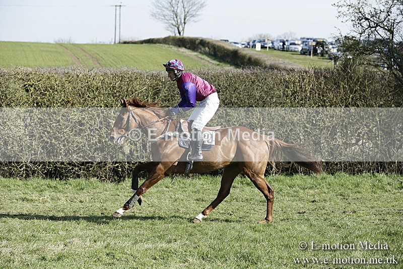 PtP 250317 173 - V.W.H. Hunt Point-to-Point Siddington 25/03/17