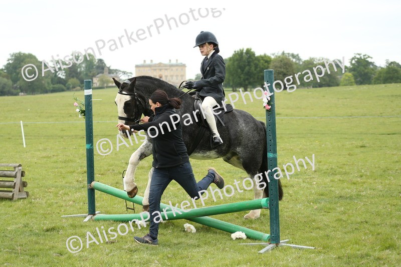 20250517-0431 - Class 20 - Beginners Working Hunter