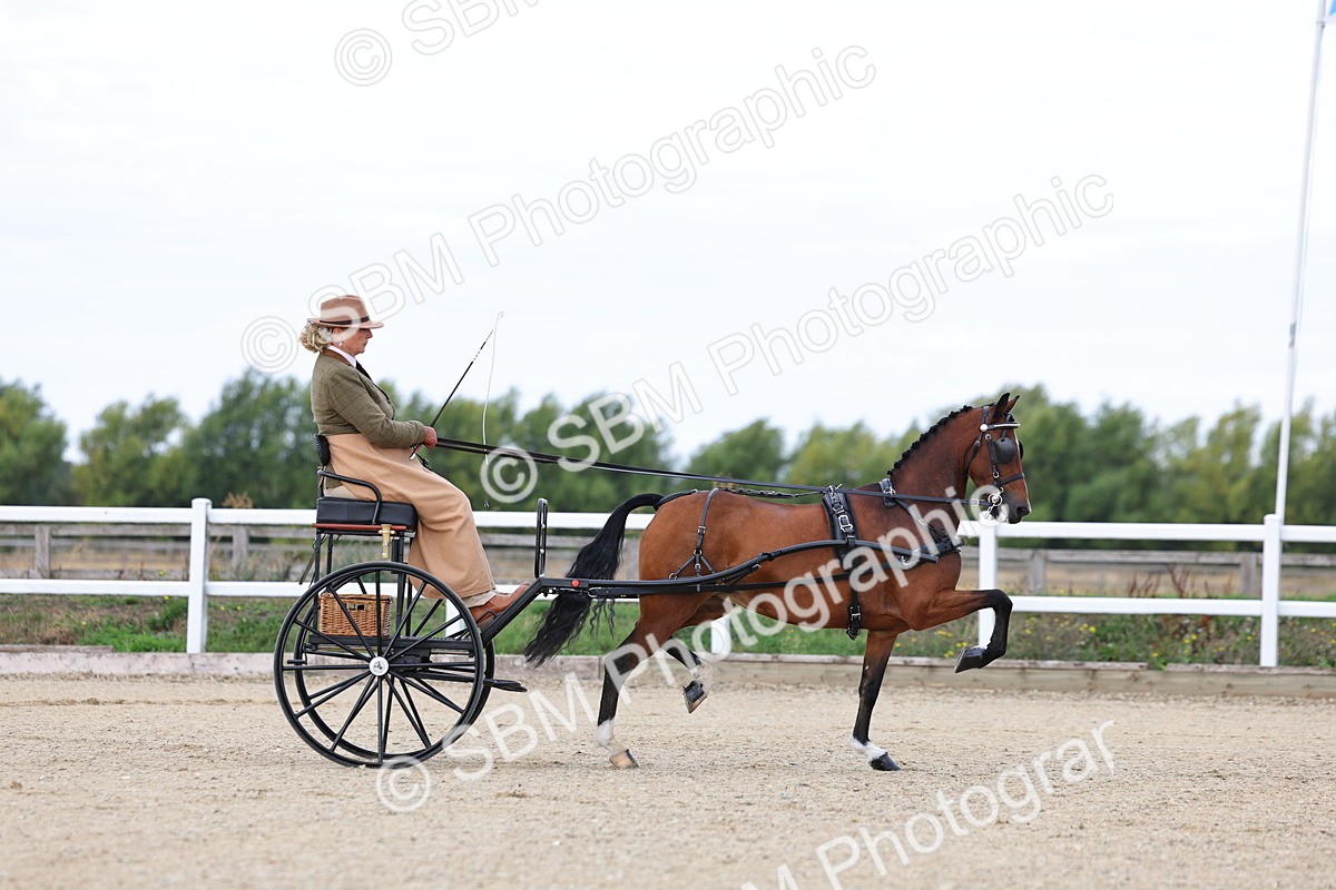 SBM_000257 - Class 2 - Exercise Vehicle 13.2hh & Under