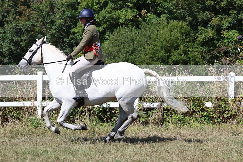3E7A6413 - Working Hunter Championship