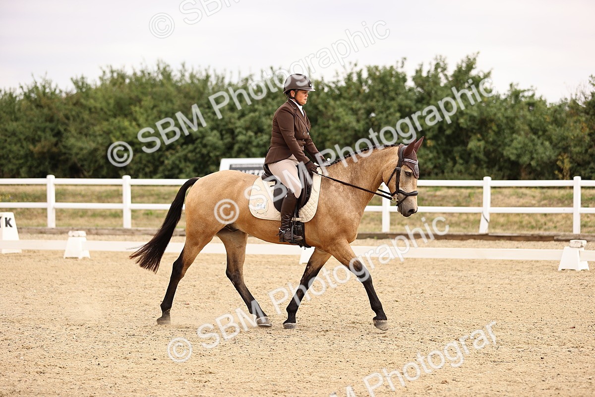 SBM_006434 - Intro 3 - 9.46-10.46