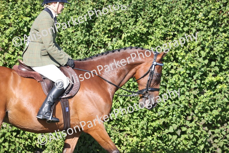 20260906-0370 - Class 14 - Ex Racehorse