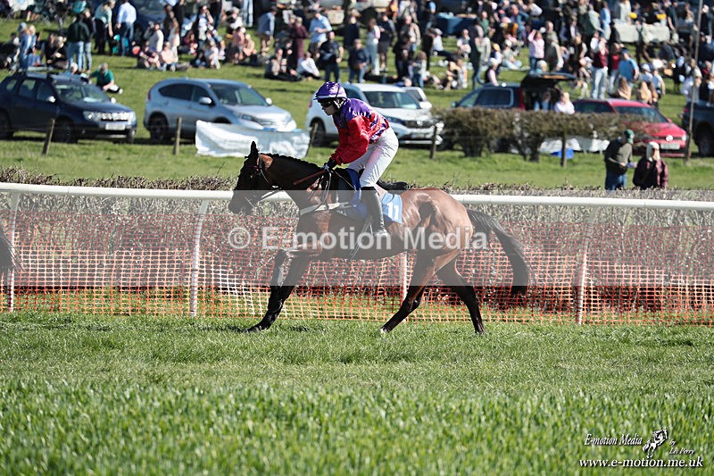 PtP 210326 281 - VWH Cirencester Races 21/03/26