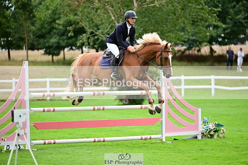 2026-08-21A-DSC_4075 - Cls 2 Snr Foxhunter