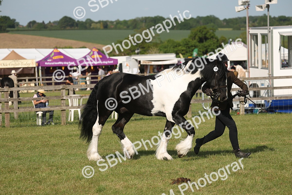 SBM_10370 - Class 33-38 - SSADL RIHS Qualifiers