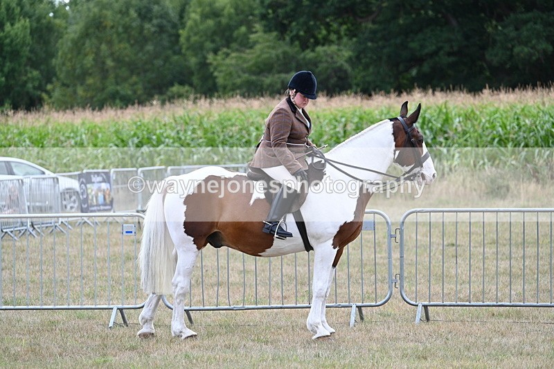 WJ7_5330 - Class 12 Ridden Cob