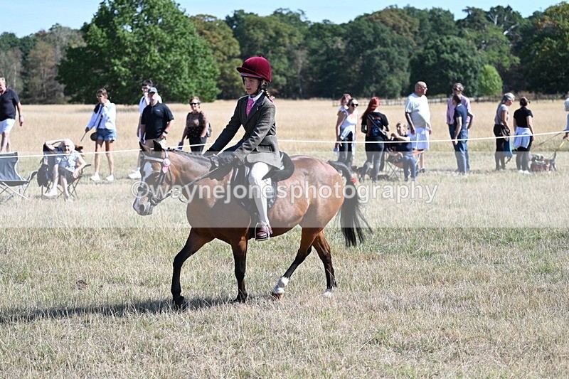 WJ7_4067 - Class 9 Mountain & Moorland Ridden