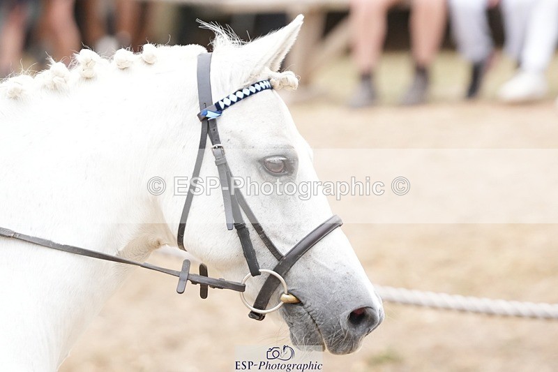 250820A-131948-06007 - Round 2, Start to 13.45 Break
