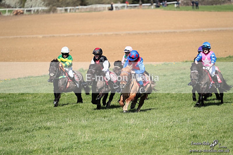 Shet 060426 264 - Shetland Pony Racing Paxford Races Easter Mon 06/04/26