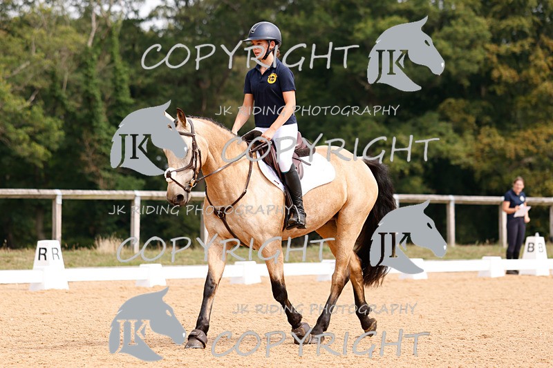 _R6A2806 - Dressage Morning
