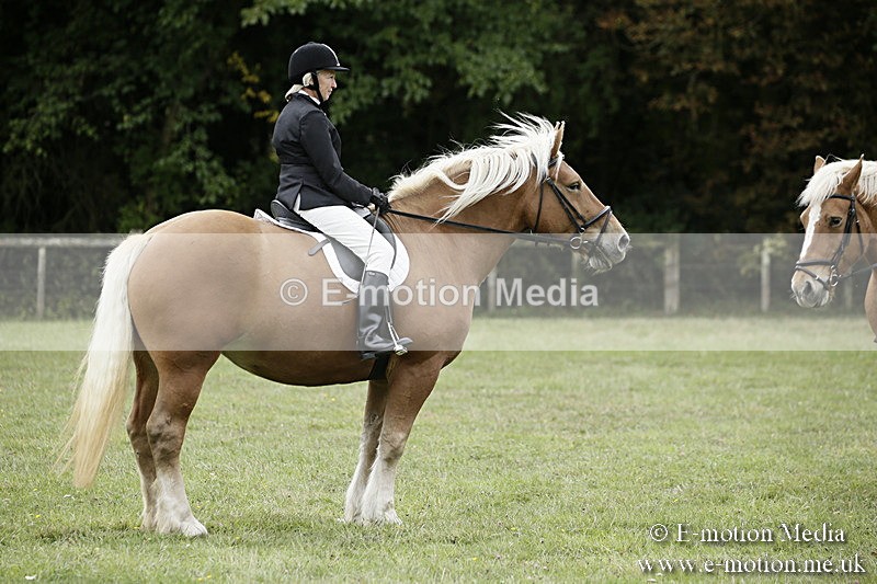 BVR080918 39 - BVRC Novice Dressage & CR 08/09/18