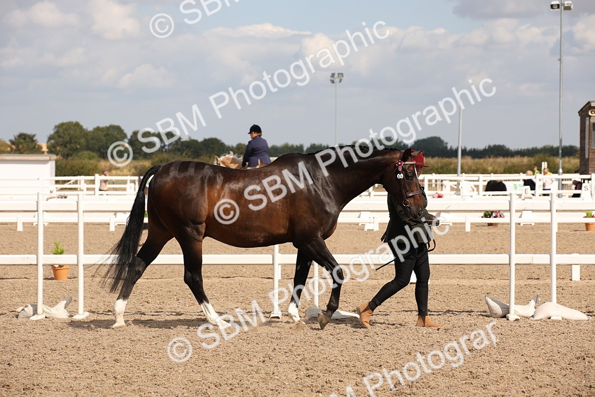 SBM_03734 - Class 19 Judge's Favourite