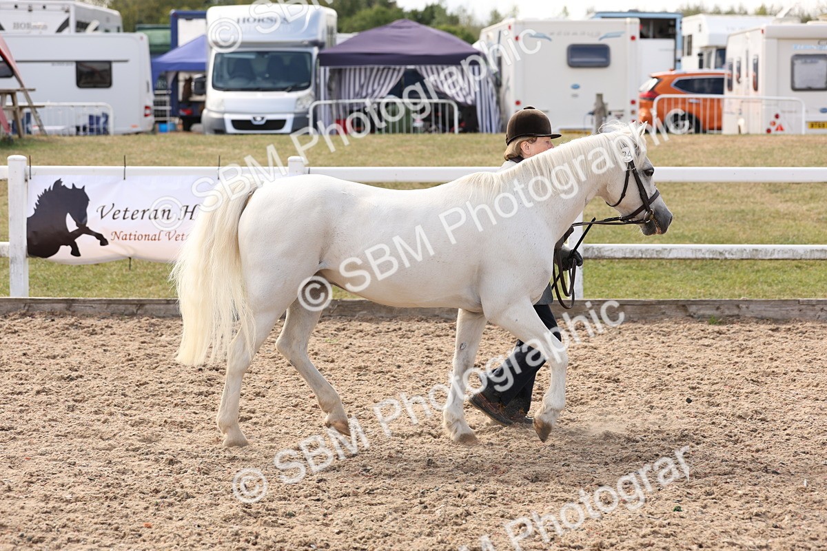 SBM_15064 - Class 209 - IH Veteran Pony