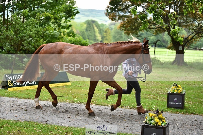 240522-161636-00833 - 166-MEXICAN_LAW-Isabelle_Cook