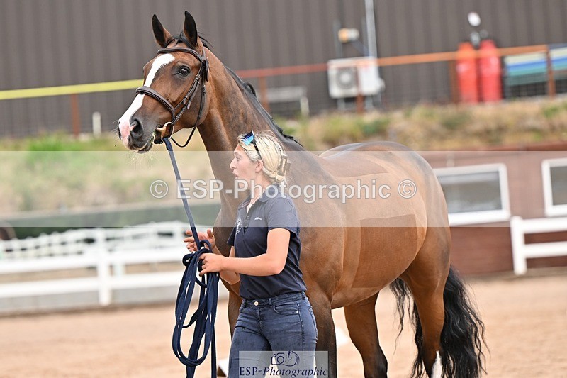 250716-151952-01877 - Trot Up 2.30 to 3.30