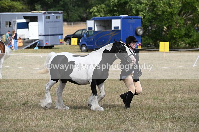WJ6_6477 - Class 20 In-hand Cob