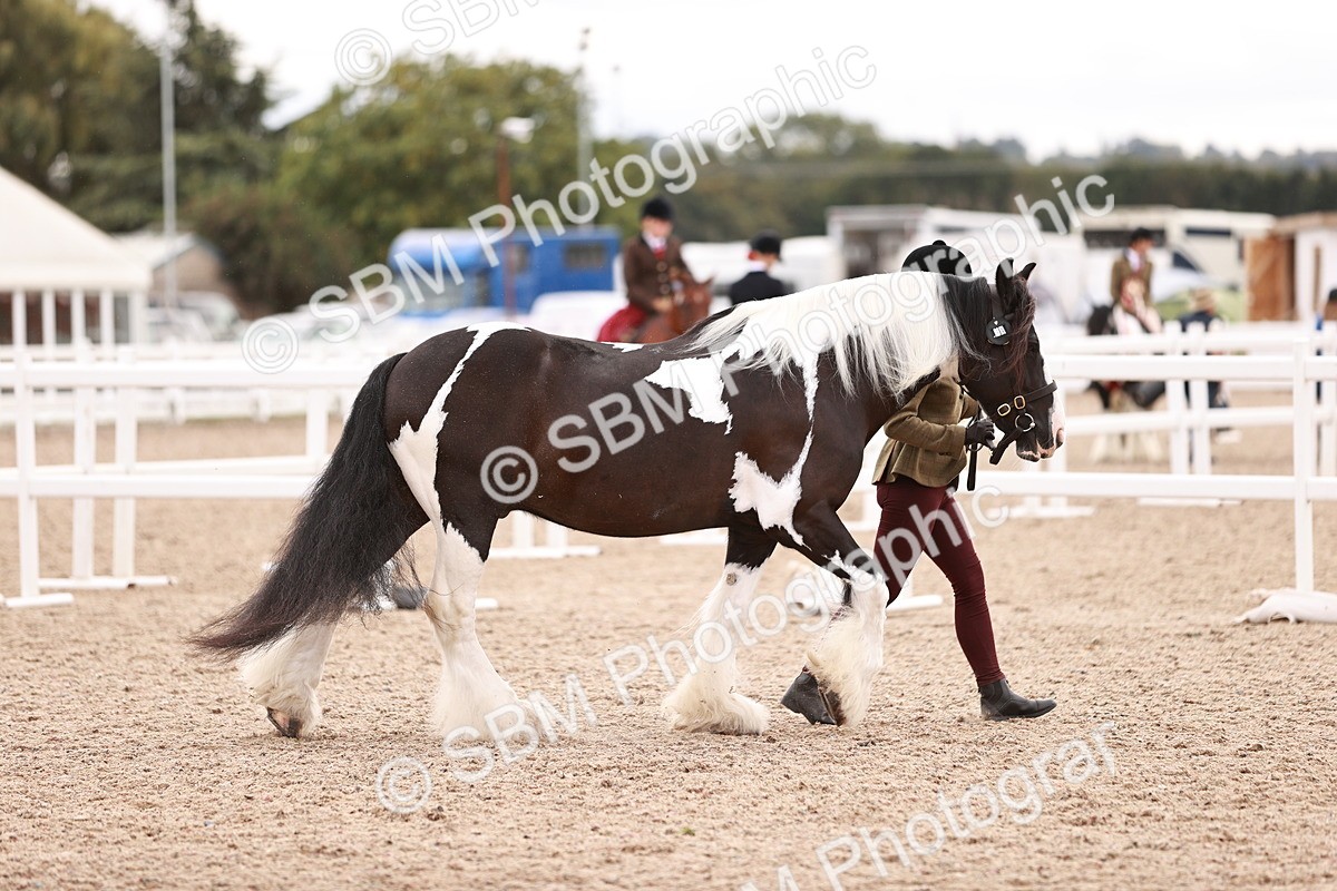 SBM_18427 - Class 419 - Best Maine and Tail - Jnr