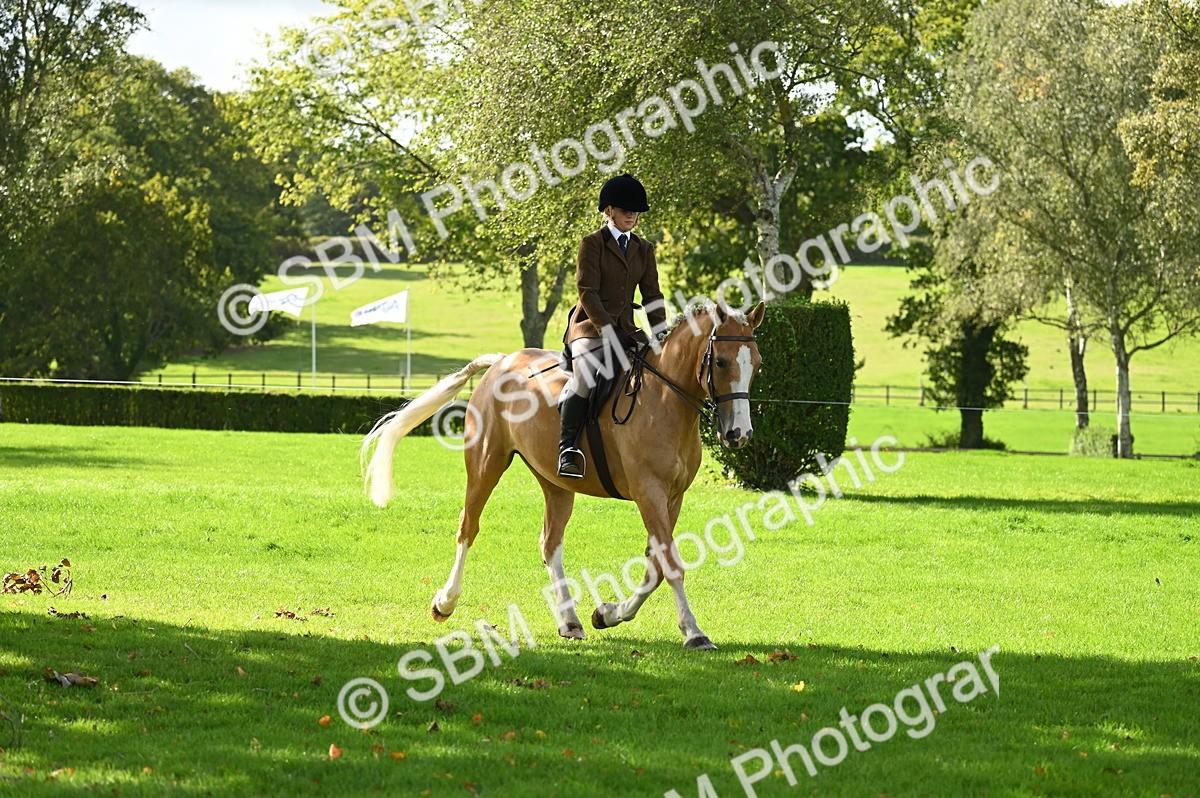 SBM_01541 - S2 - TSR Ridden Horse Showing