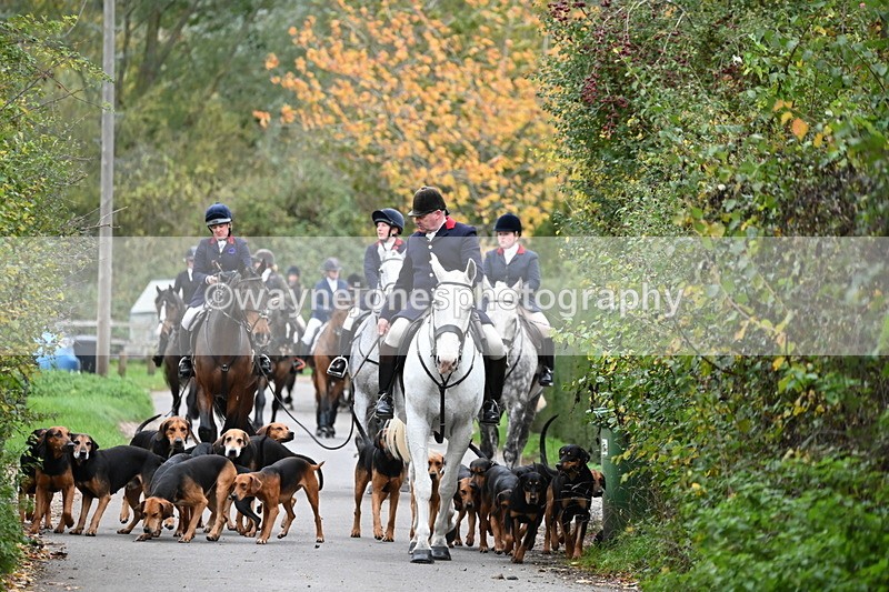 WJ6_8309 - Walk Home..