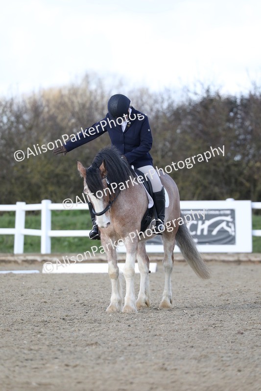 20260314-5018 - CT6 - Elementary 1